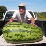 Giant Watermelon Picture - 147 Converse