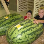 Giant Watermelon Picture - 172-157 Jones 2008